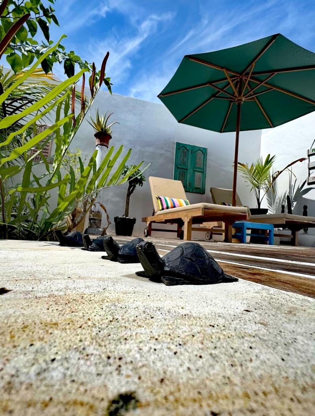 Villa La Vida Gili Trawangan Zewnętrze zdjęcie